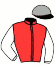 casaque portée par Desmarres A. jockey du cheval de course JINKGO VEETA, information pmu ZETURF