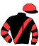 casaque portée par Rochard B. jockey du cheval de course HORIZON CARISAIE, information pmu ZETURF