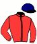 casaque portée par Ploquin Pau. Ph. jockey du cheval de course KINDIA DU CHENE, information pmu ZETURF