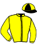 casaque portée par D' Andigne O. jockey du cheval de course ALLURES DE REINE, information pmu ZETURF