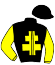 casaque portée par Provost D. jockey du cheval de course AROWN, information pmu ZETURF