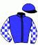 casaque portée par Grosbois Chr. jockey du cheval de course REGALIEN, information pmu ZETURF