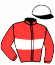 casaque portée par Roussel Leo jockey du cheval de course CALYPSO, information pmu ZETURF
