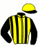 casaque portée par Just S. jockey du cheval de course GOFAS, information pmu ZETURF casaque portée par Just S. jockey du cheval de course GOFAS, information pmu ZETURF