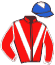 casaque portée par Romary Mlle M. jockey du cheval de course BYKRA, information pmu ZETURF casaque portée par Romary Mlle M. jockey du cheval de course BYKRA, information pmu ZETURF