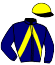 casaque portée par Rebeche A. jockey du cheval de course HEROS DE BONNEFOI (FR), information pmu ZETURF