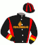 casaque portée par Bertrand D. jockey du cheval de course VIKENS FINGERPRINT (SE), information pmu ZETURF