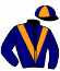 casaque portée par Forget X. jockey du cheval de course INAYA DE FLORANGE (FR), information pmu ZETURF