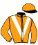 casaque portée par Ernault S. jockey du cheval de course HUSSARD DELO (FR), information pmu ZETURF