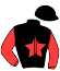 casaque portée par Locqueneux D. jockey du cheval de course ELLA DE LA RIVE (FR), information pmu ZETURF