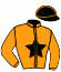 casaque portée par Lecanu F. jockey du cheval de course HUIT MAI DIGEO (FR), information pmu ZETURF