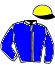 casaque portée par Rebeche A. jockey du cheval de course HERMINE GOLD (FR), information pmu ZETURF