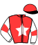 casaque portée par Lecanu F. jockey du cheval de course GRINGO DES PISTES (FR), information pmu ZETURF