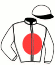 casaque portée par Claudic J. jockey du cheval de course SAGAR (IE), information pmu ZETURF