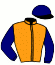 casaque portée par Perrette Q. jockey du cheval de course SNORKELING (FR), information pmu ZETURF
