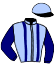 casaque portée par Baron Axe.  jockey du cheval de course PARK OF DIAMOND (FR), information pmu ZETURF