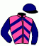 casaque portée par Larenaudie N. jockey du cheval de course BISANNE (FR), information pmu ZETURF