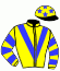 casaque portée par Delaunay J. jockey du cheval de course PAINT ISLAND (IE), information pmu ZETURF