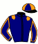 casaque portée par Marie H. jockey du cheval de course FORGEAS DU GITE (FR), information pmu ZETURF