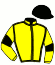 casaque portée par Rochard B. jockey du cheval de course HAMYOT DE BOMO, information pmu ZETURF