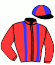 casaque portée par Dubois J. jockey du cheval de course INDIAN PARK, information pmu ZETURF