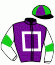 casaque portée par Lebouc Hug. jockey du cheval de course JARDINIER, information pmu ZETURF