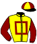 casaque portée par Roussel Ale. jockey du cheval de course PREMIO, information pmu ZETURF