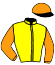 casaque portée par Guillochon J. jockey du cheval de course GOLDY MAKER, information pmu ZETURF