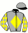 casaque portée par D' Andigne O. jockey du cheval de course PEDROCHEC, information pmu ZETURF