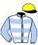 casaque portée par Besnier H. jockey du cheval de course WING GIRL, information pmu ZETURF