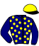 casaque portée par Roussel F. M. jockey du cheval de course FERRY BOAT, information pmu ZETURF