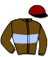 casaque portée par Defortescu Adr. jockey du cheval de course FLO OF BAZOCHE, information pmu ZETURF
