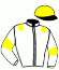 casaque portée par Reveley J. jockey du cheval de course DAFEAST, information pmu ZETURF