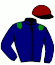 casaque portée par Manceau E. jockey du cheval de course LOENOLOGUE, information pmu ZETURF
