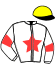 casaque portée par Brechet Mr Lp. jockey du cheval de course JALISCA DU GIVRE, information pmu ZETURF