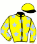 casaque portée par Blandin F. jockey du cheval de course JOYAU DE FECS, information pmu ZETURF