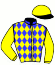 casaque portée par Lamy R. jockey du cheval de course ICARE DE PHYT'S, information pmu ZETURF