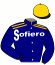 casaque portée par Sundgren Joh. L. jockey du cheval de course JUPITER DELO, information pmu ZETURF casaque portée par Sundgren Joh. L. jockey du cheval de course JUPITER DELO, information pmu ZETURF