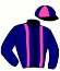casaque portée par Garnier E. jockey du cheval de course FARCEUSE DU PRE, information pmu ZETURF