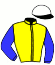 casaque portée par Heslouin Cha. jockey du cheval de course FETLOCK JOINT, information pmu ZETURF