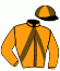 casaque portée par Mottier M. jockey du cheval de course IMPACT CASTELETS, information pmu ZETURF