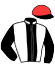casaque portée par Nivard F. jockey du cheval de course INSOLITE EFBE, information pmu ZETURF casaque portée par Nivard F. jockey du cheval de course INSOLITE EFBE, information pmu ZETURF