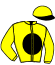 casaque portée par Bails Mlle L. jockey du cheval de course RAZI, information pmu ZETURF casaque portée par Bails Mlle L. jockey du cheval de course RAZI, information pmu ZETURF