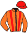 casaque portée par Le Verger F. jockey du cheval de course GET ON, information pmu ZETURF casaque portée par Le Verger F. jockey du cheval de course GET ON, information pmu ZETURF