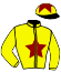 casaque portée par Brechet Mr Lp. jockey du cheval de course DIVA DE MAI, information pmu ZETURF