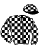 casaque portée par Riou C. jockey du cheval de course MISTER PAPY, information pmu ZETURF