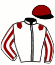 casaque portée par Desoutter Mlle N. jockey du cheval de course FOU DU BRESIL (FR), information pmu ZETURF casaque portée par Desoutter Mlle N. jockey du cheval de course FOU DU BRESIL (FR), information pmu ZETURF