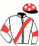 casaque portée par Ubeda D. jockey du cheval de course AIGLE TEEN (FR), information pmu ZETURF