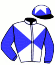 casaque portée par Philipperon L. jockey du cheval de course ROCK THE RACE (FR), information pmu ZETURF