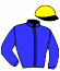 casaque portée par Le Clerc B. jockey du cheval de course ARBAROK (FR), information pmu ZETURF